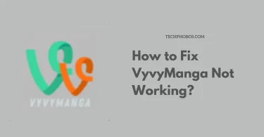 How to Fix VyvyManga Not Working